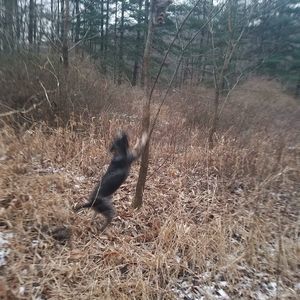 Meet your Posher, Robbie